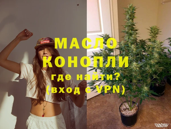шишки Каменка