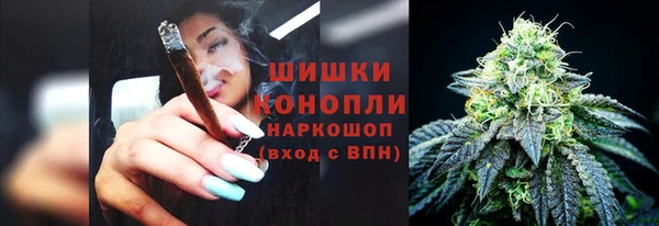 шишки Каменка