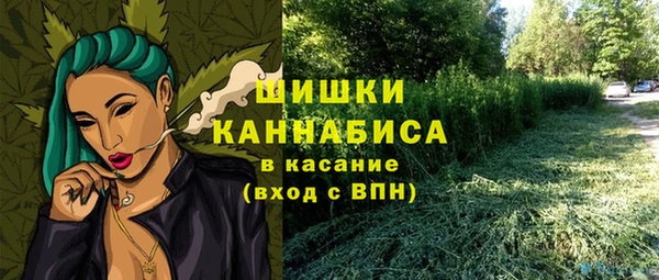 шишки Каменка