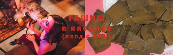 шишки Каменка