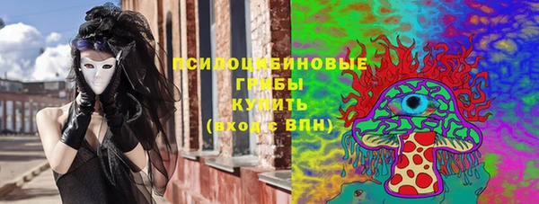 шишки Каменка