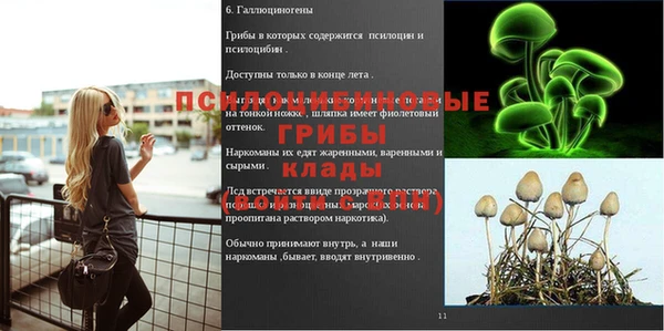 синтетический гашиш Каменногорск