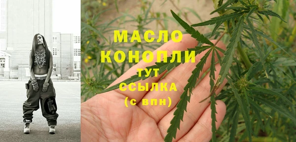 шишки Каменка