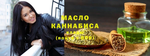 шишки Каменка