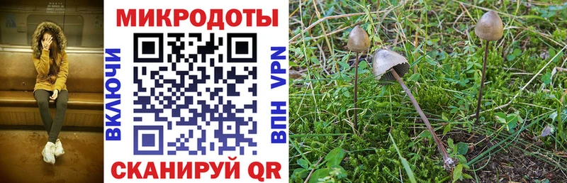 Купить где  Северо-Курильск  Галлюциногенные грибы прущие грибы 